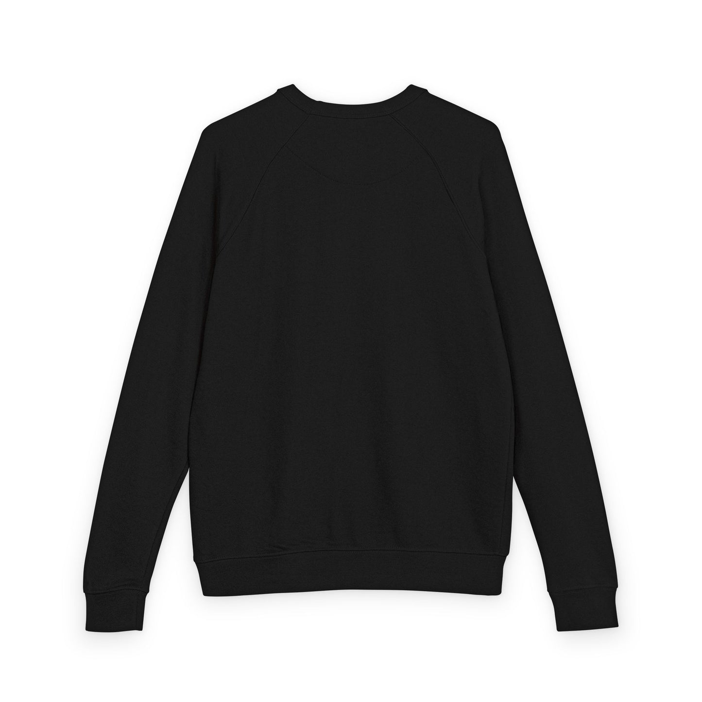 Haunted Library Pumpkin Ghost Sweatshirt for Book Lovers - French Terry Raglan - Lane Seven brand - PLAIN SLEEVES