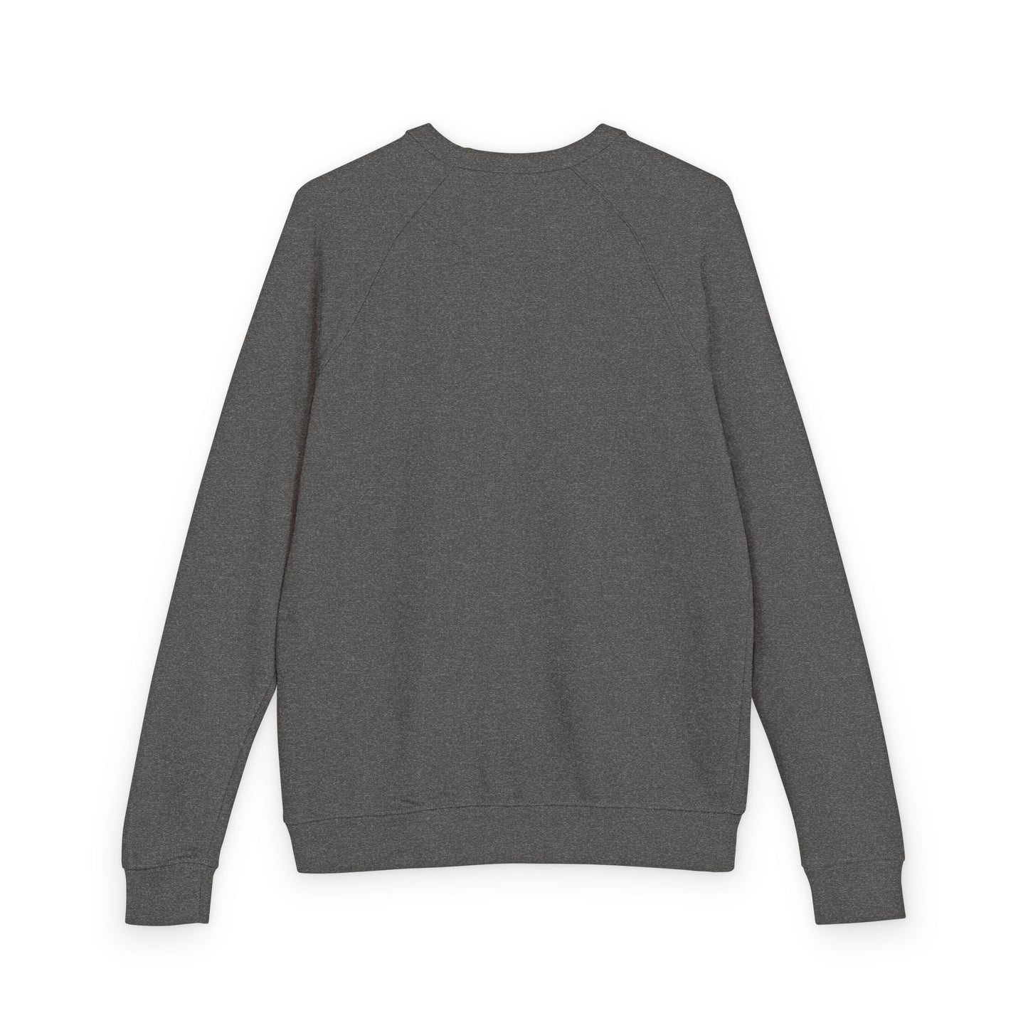 Bookish Brews Coffeehouse Sweatshirt for Book Lovers - French Terry Raglan - Lane Seven brand - PLAIN SLEEVES